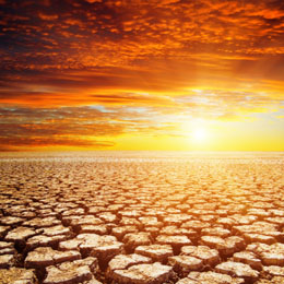 What Happens During A Drought?