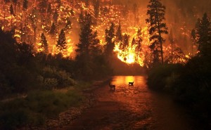 Drought and Climate Change Fuel Fires Across the Western United States2
