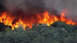 Drought and Climate Change Fuel Fires Across the Western United States6