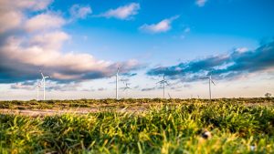 wind-farm-1209335_640