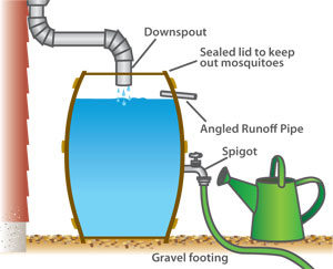 A diagram to show the rain barrel set up 