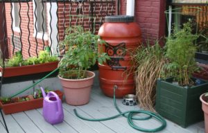 Rain-Barrel-Home-Garden-Owl-Stencil.jpg.653x0_q80_crop-smart