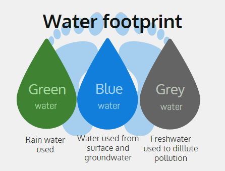 Grey water vs. Green water : What are green and GREY water footprints?